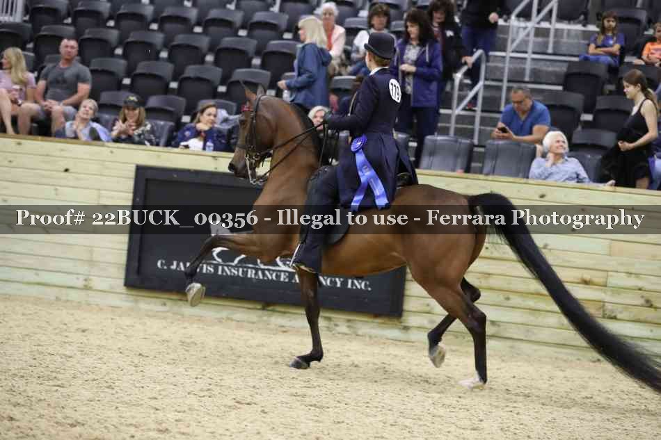 Proof 22BUCK_00356