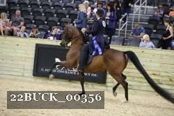 22BUCK_00356 proof