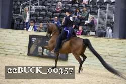 22BUCK_00357 proof