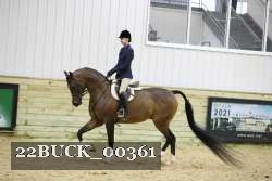 22BUCK_00361 proof