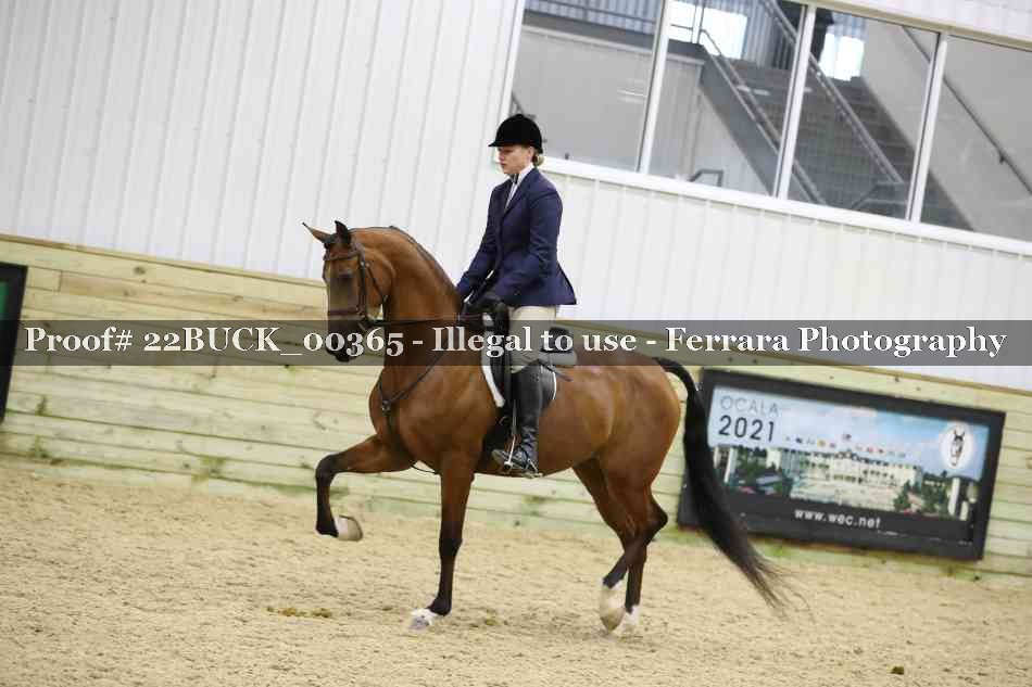 Proof 22BUCK_00365