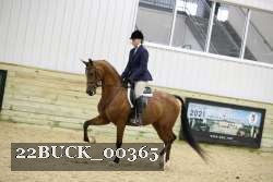 22BUCK_00365 proof