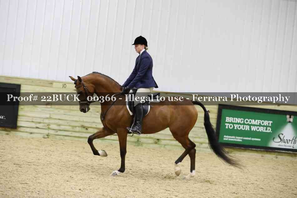 Proof 22BUCK_00366