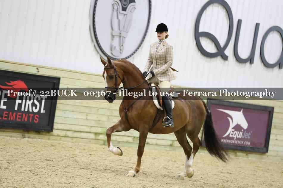 Proof 22BUCK_00367