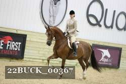 22BUCK_00367 proof