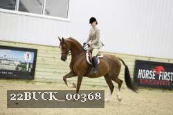 22BUCK_00368 proof