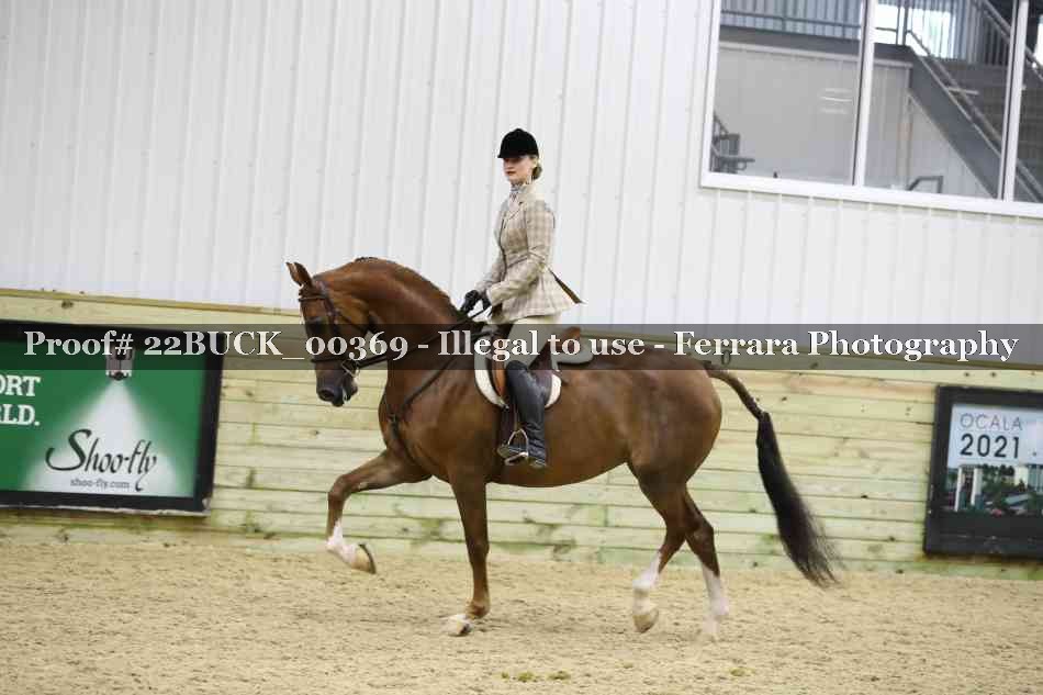 Proof 22BUCK_00369