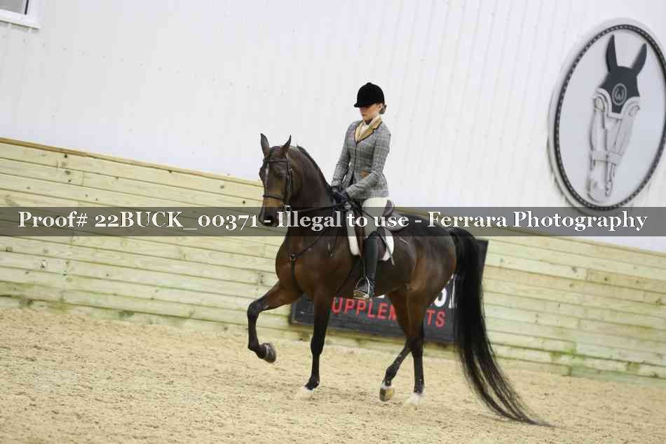 Proof 22BUCK_00371