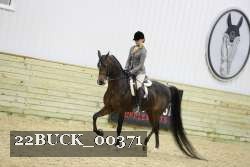 22BUCK_00371 proof