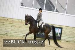 22BUCK_00372 proof