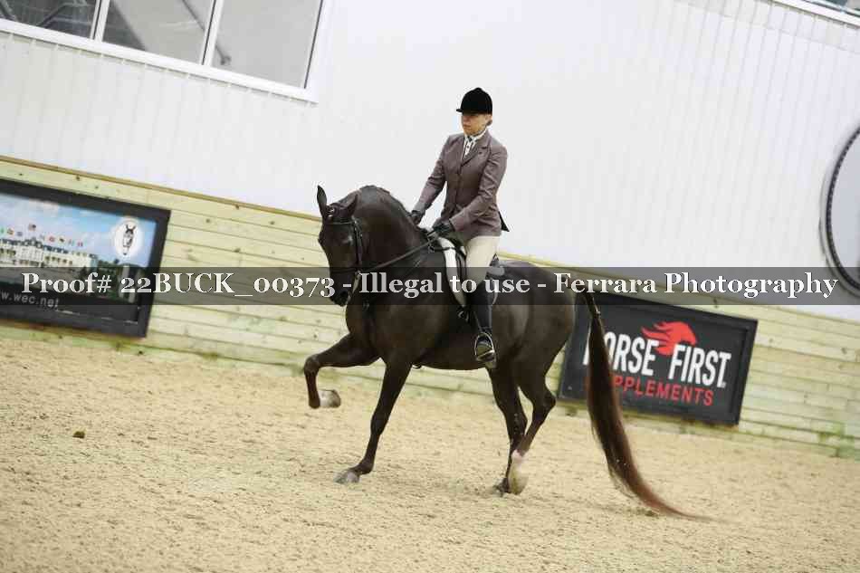 Proof 22BUCK_00373