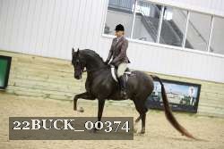 22BUCK_00374 proof