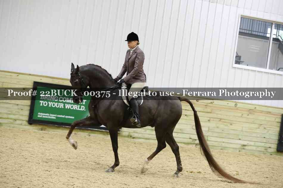 Proof 22BUCK_00375