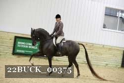 22BUCK_00375 proof