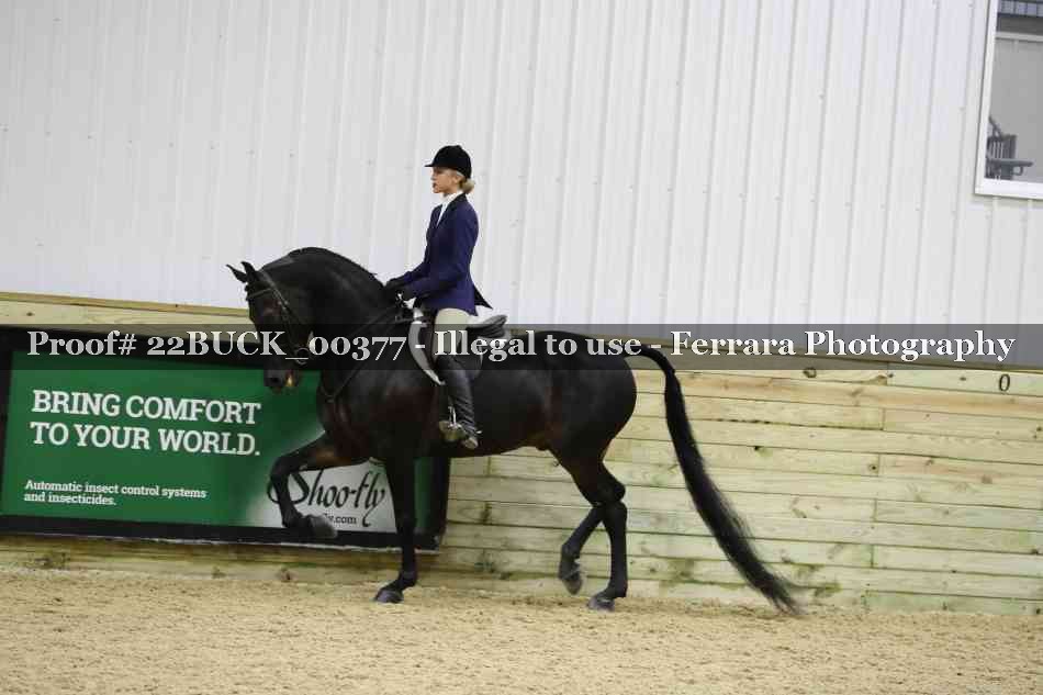 Proof 22BUCK_00377