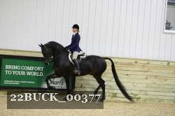 22BUCK_00377 proof