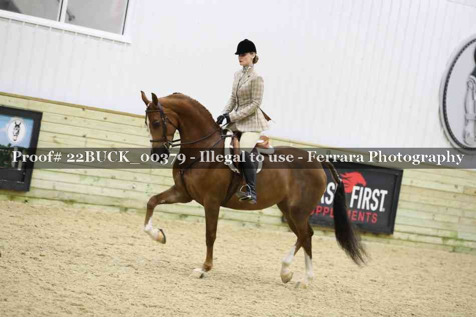 Proof 22BUCK_00379