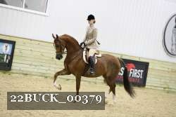 22BUCK_00379 proof