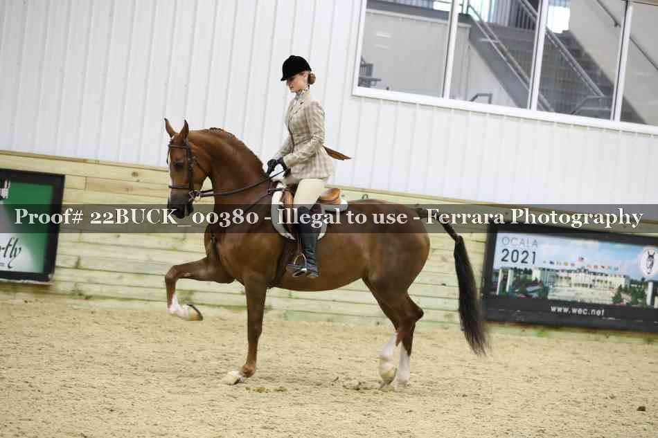 Proof 22BUCK_00380