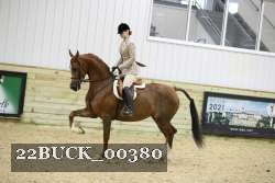 22BUCK_00380 proof