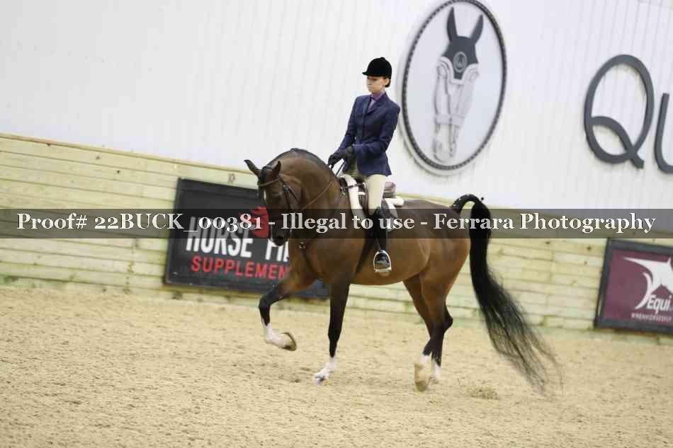 Proof 22BUCK_00381