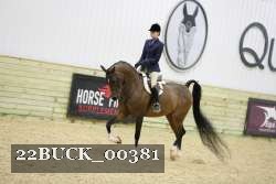 22BUCK_00381 proof