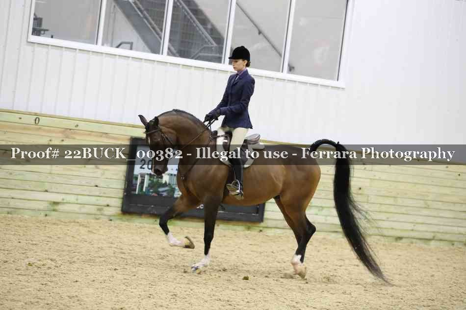 Proof 22BUCK_00382