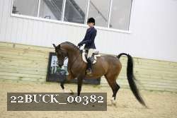 22BUCK_00382 proof