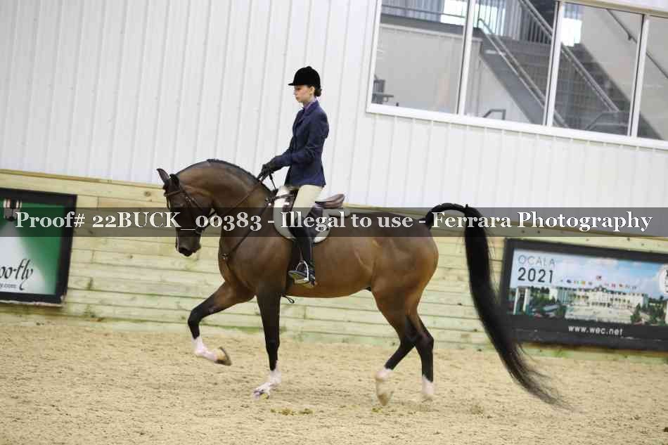 Proof 22BUCK_00383