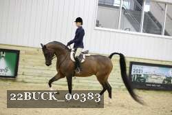 22BUCK_00383 proof