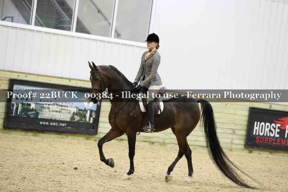 Proof 22BUCK_00384