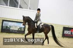 22BUCK_00384 proof