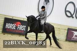 22BUCK_00385 proof
