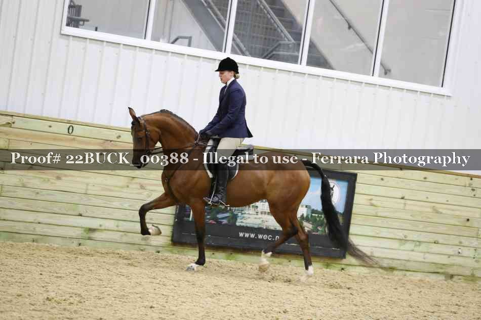 Proof 22BUCK_00388