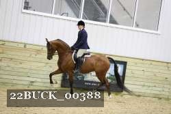 22BUCK_00388 proof