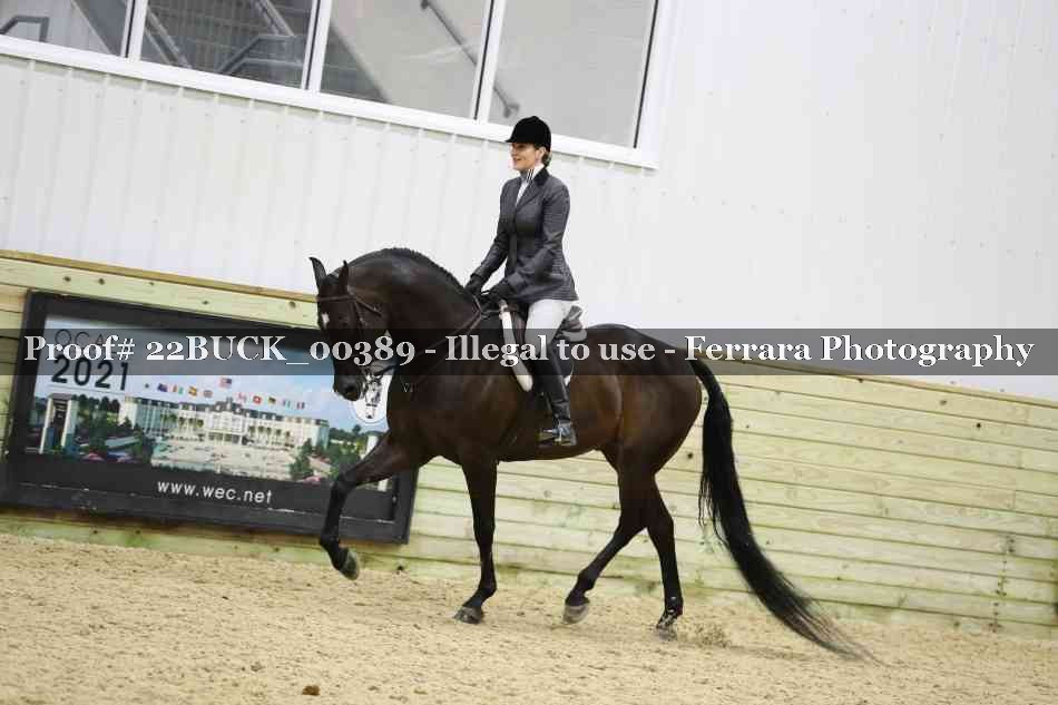 Proof 22BUCK_00389