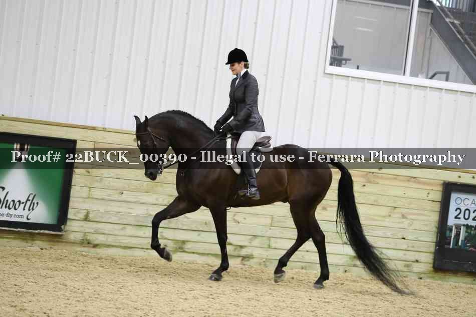 Proof 22BUCK_00390