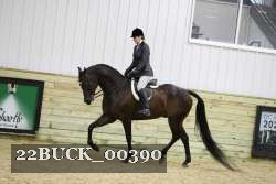 22BUCK_00390 proof
