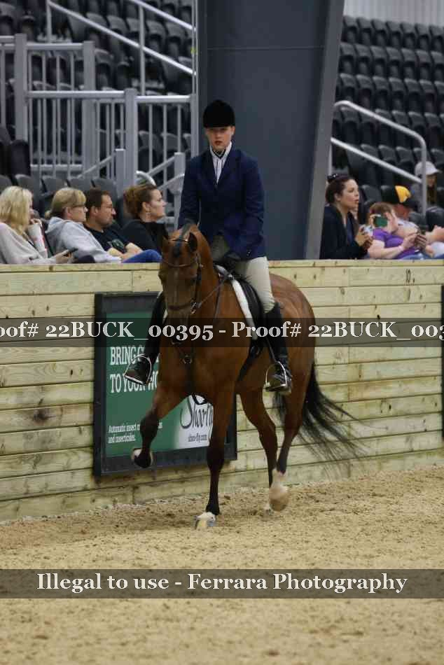 Proof 22BUCK_00395