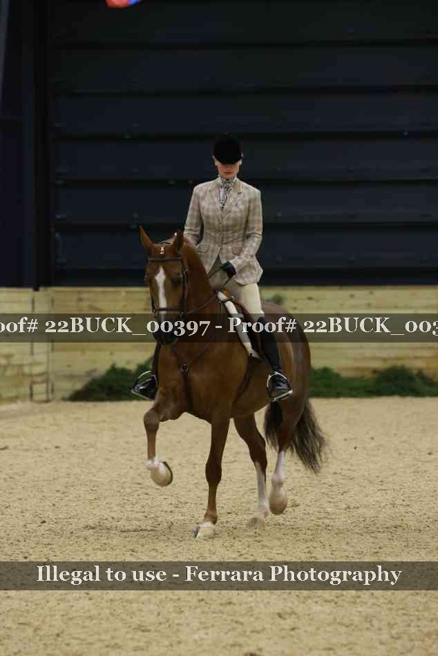 Proof 22BUCK_00397