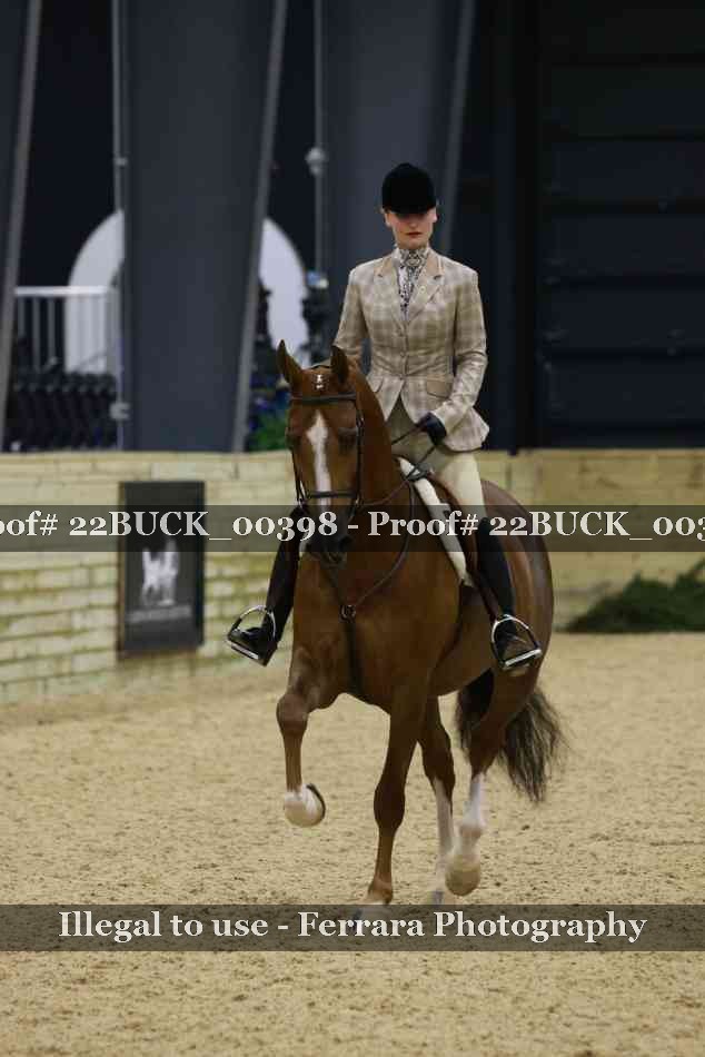 Proof 22BUCK_00398