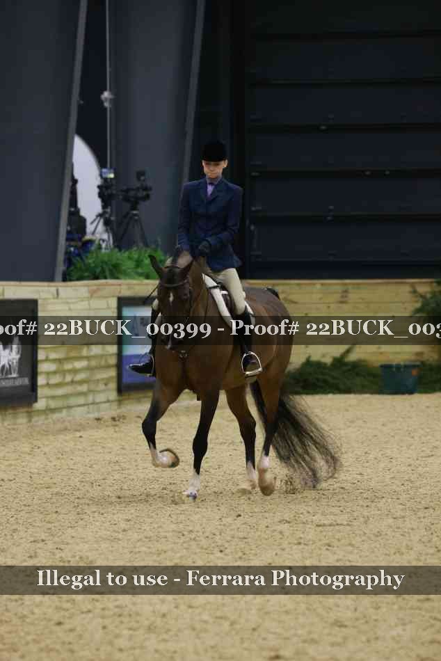 Proof 22BUCK_00399