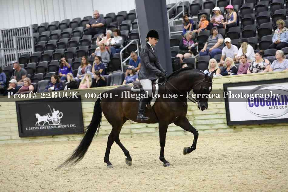 Proof 22BUCK_00401