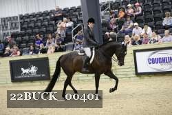 22BUCK_00401 proof