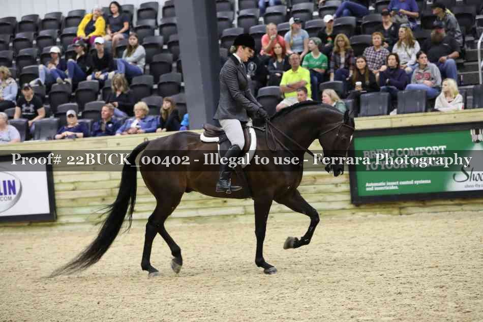 Proof 22BUCK_00402