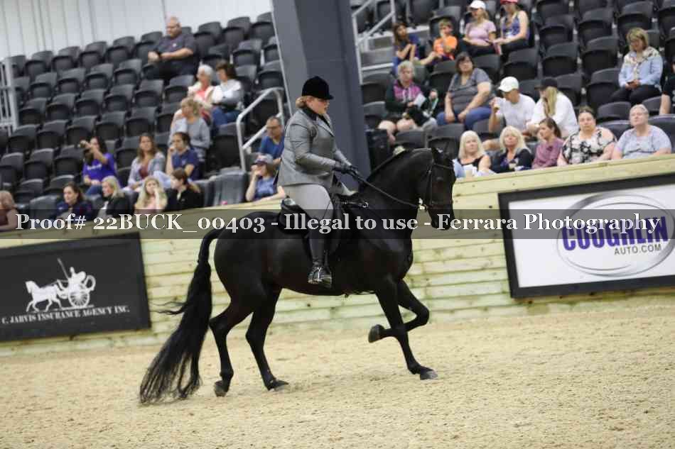 Proof 22BUCK_00403