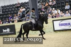 22BUCK_00403 proof