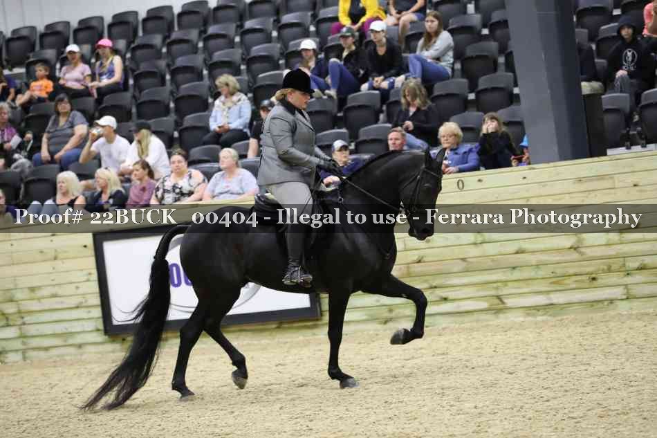 Proof 22BUCK_00404