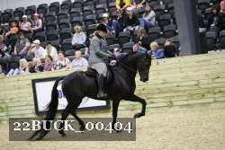 22BUCK_00404 proof