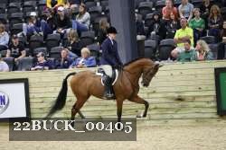 22BUCK_00405 proof